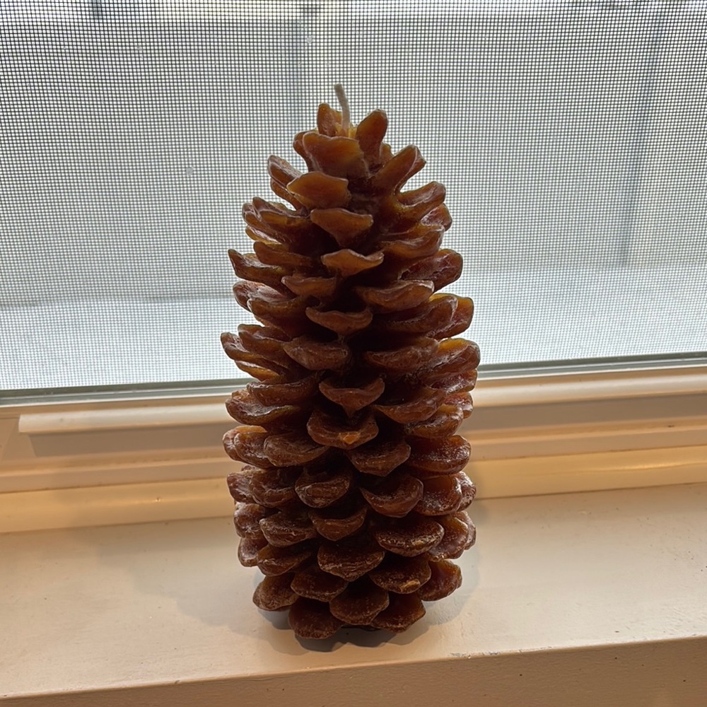 Decorative Pinecone Candle